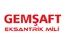 GEMSAFT